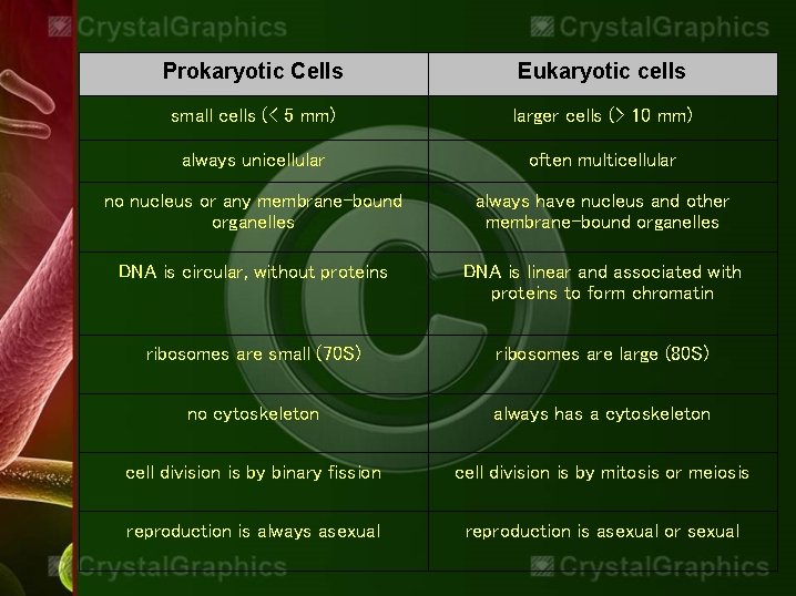 Prokaryotic Cells Eukaryotic cells small cells (< 5 mm) larger cells (> 10 mm)