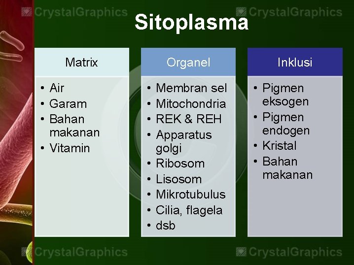 Sitoplasma Matrix • Air • Garam • Bahan makanan • Vitamin Organel • •