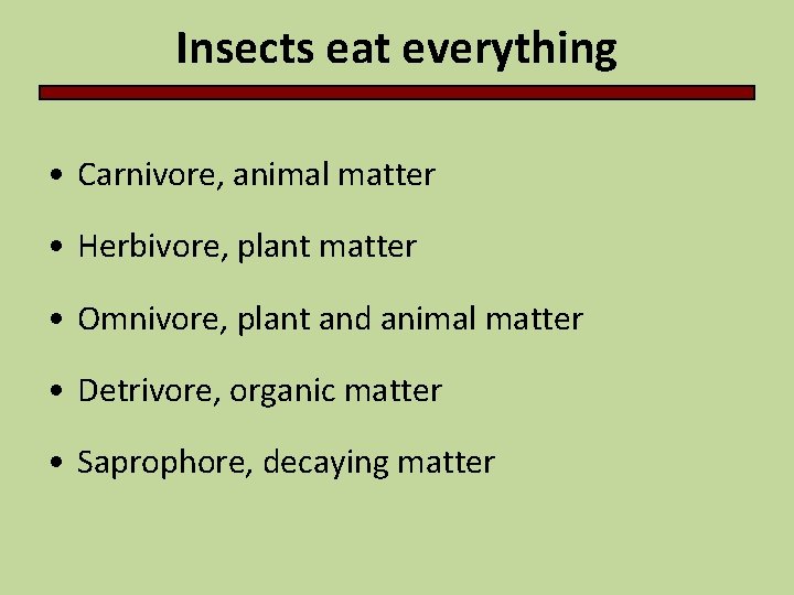 Insects eat everything • Carnivore, animal matter • Herbivore, plant matter • Omnivore, plant