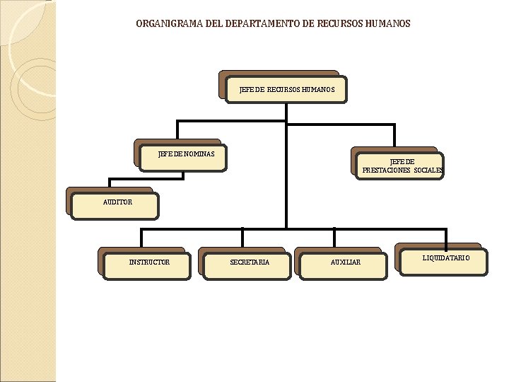ORGANIGRAMA DEL DEPARTAMENTO DE RECURSOS HUMANOS JEFE DE NOMINAS JEFE DE PRESTACIONES SOCIALES AUDITOR