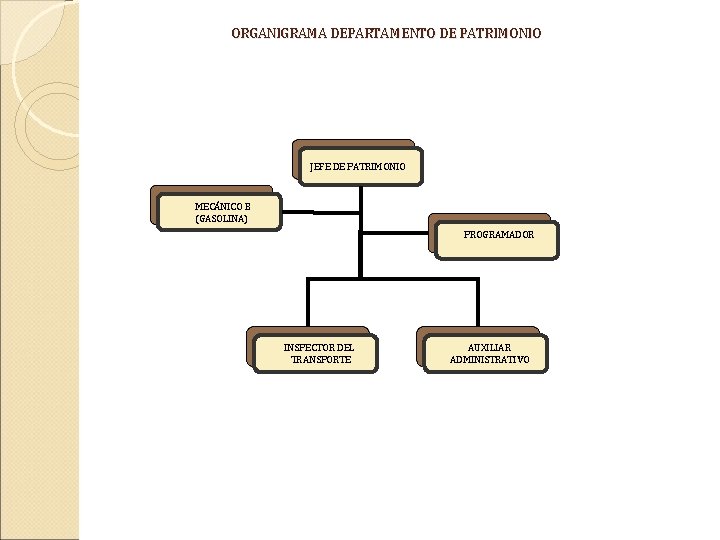 ORGANIGRAMA DEPARTAMENTO DE PATRIMONIO JEFE DE PATRIMONIO MECÁNICO B (GASOLINA) PROGRAMADOR INSPECTOR DEL TRANSPORTE