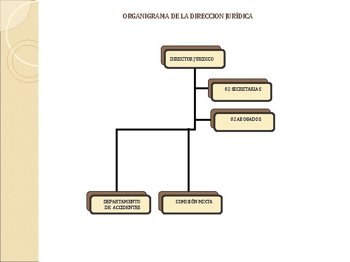ORGANIGRAMA DE LA DIRECCION JURÍDICA DIRECTOR JURIDICO 02 SECRETARIAS 02 ABOGADOS DEPARTAMENTO DE ACCIDENTES