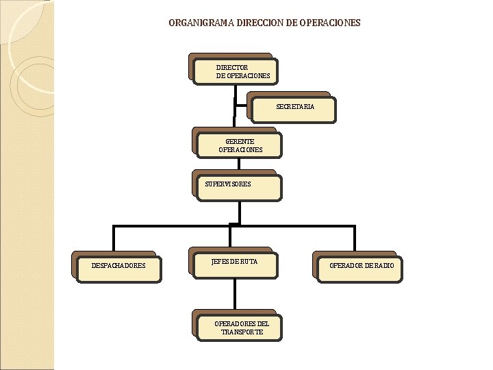 ORGANIGRAMA DIRECCION DE OPERACIONES DIRECTOR DE OPERACIONES SECRETARIA GERENTE OPERACIONES SUPERVISORES DESPACHADORES JEFES DE