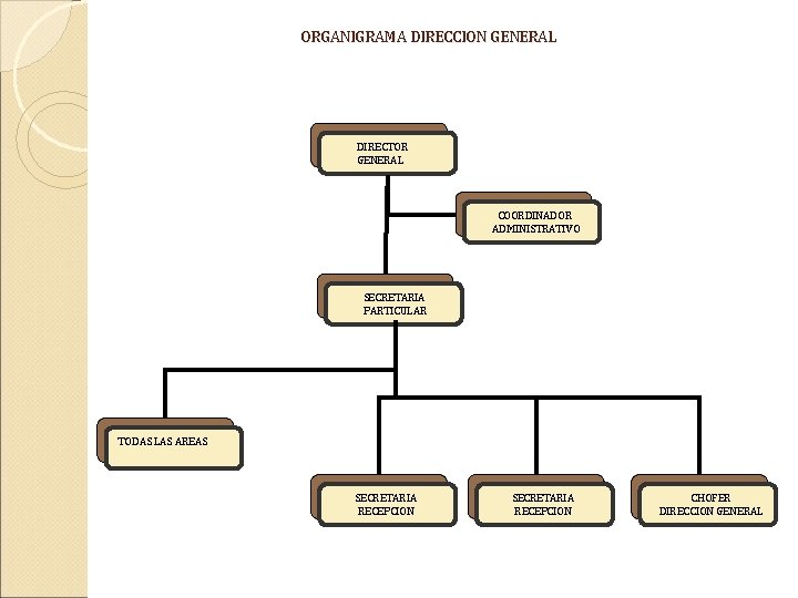 ORGANIGRAMA DIRECCION GENERAL DIRECTOR GENERAL COORDINADOR ADMINISTRATIVO SECRETARIA PARTICULAR TODAS LAS AREAS SECRETARIA RECEPCION