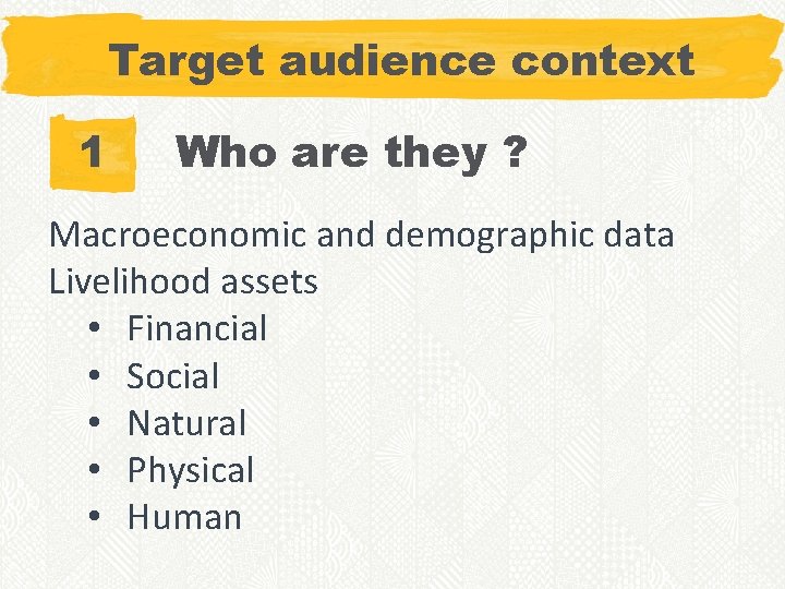 Target audience context 1 Who are they ? Macroeconomic and demographic data Livelihood assets