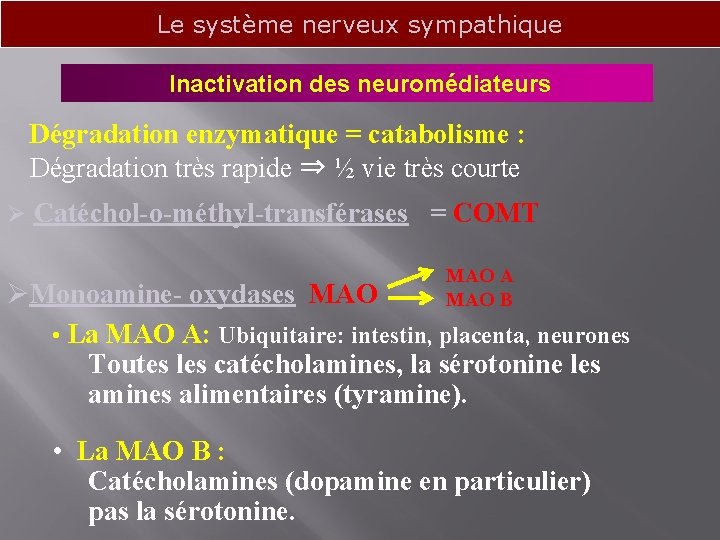 Le système nerveux sympathique Inactivation des neuromédiateurs Dégradation enzymatique = catabolisme : Dégradation très