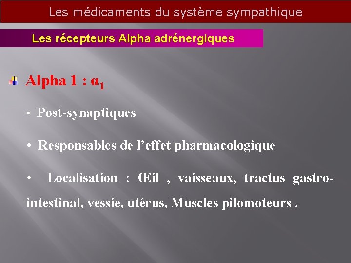 Les médicaments du système sympathique Les récepteurs Alpha adrénergiques Alpha 1 : α 1