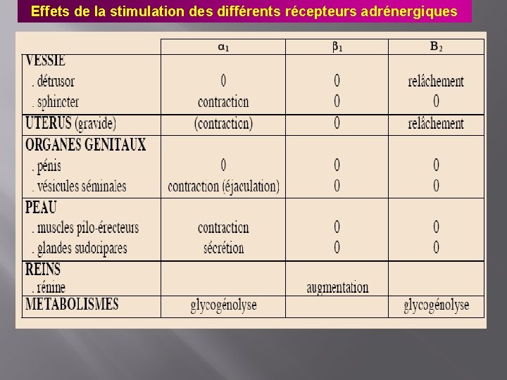 Effets de la stimulation des différents récepteurs adrénergiques 