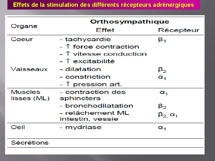 Effets de la stimulation des différents récepteurs adrénergiques 