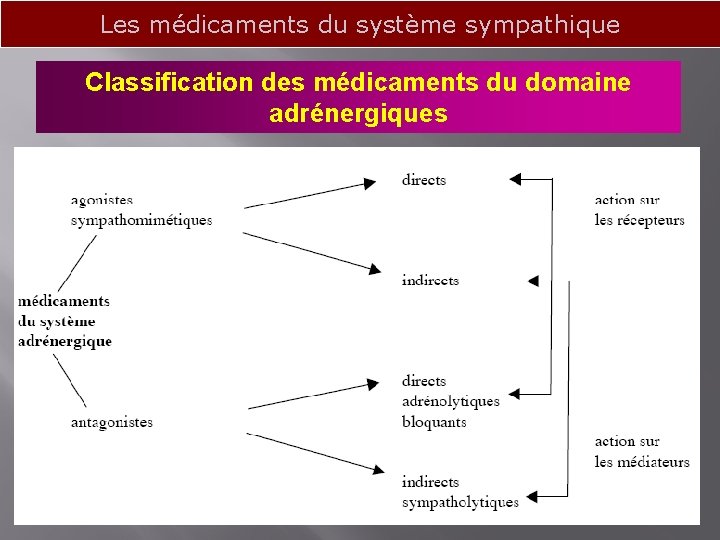 Les médicaments du système sympathique Classification des médicaments du domaine adrénergiques 