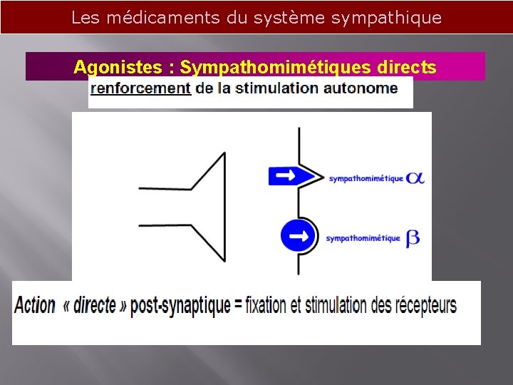 Les médicaments du système sympathique Agonistes : Sympathomimétiques directs 