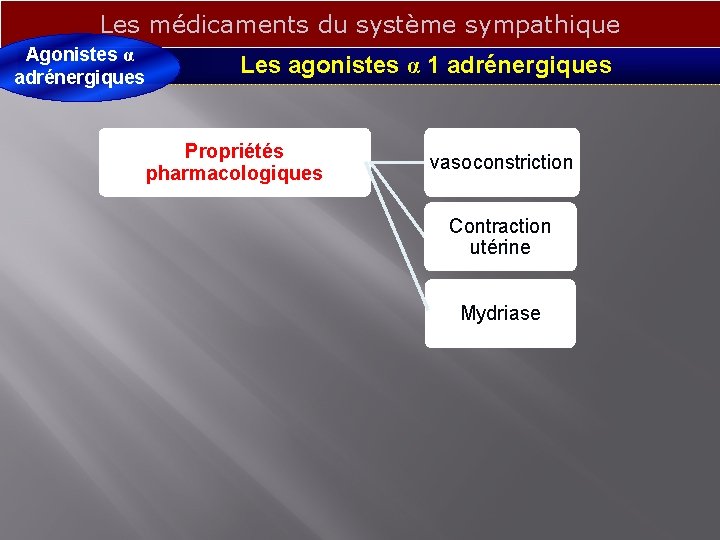 Les médicaments du système sympathique Agonistes α adrénergiques Les agonistes α 1 adrénergiques Propriétés