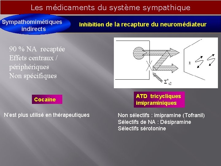 Les médicaments du système sympathique Sympathomimétiques Inhibition de la recapture du neuromédiateur indirects 90