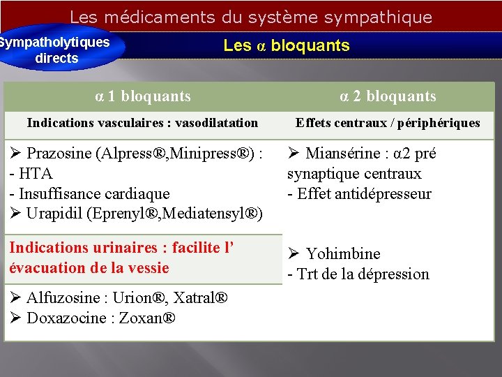 Les médicaments du système sympathique Sympatholytiques directs Les α bloquants α 1 bloquants α