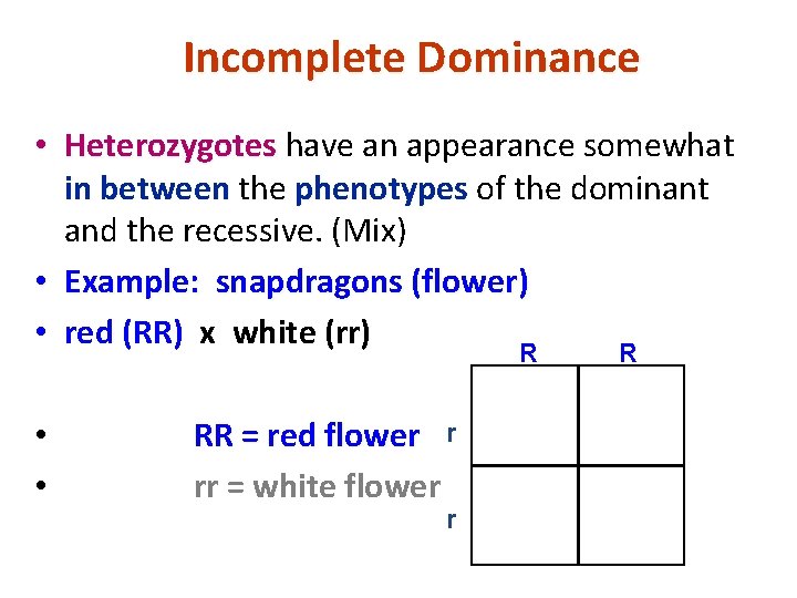 Incomplete Dominance • Heterozygotes have an appearance somewhat in between the phenotypes of the