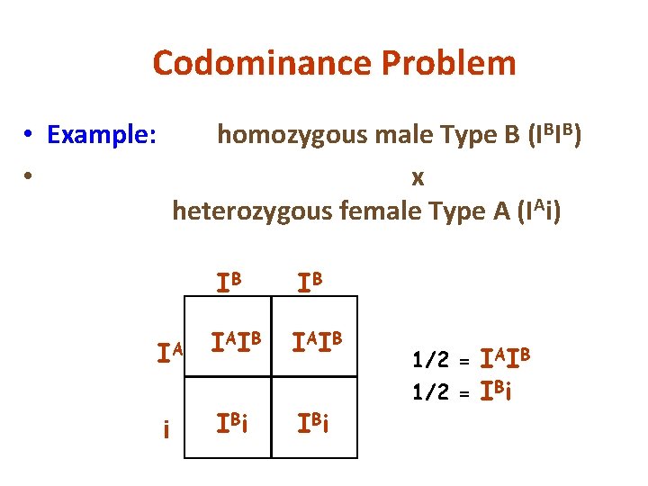 Codominance Problem • Example: • homozygous male Type B (IBIB) x heterozygous female Type