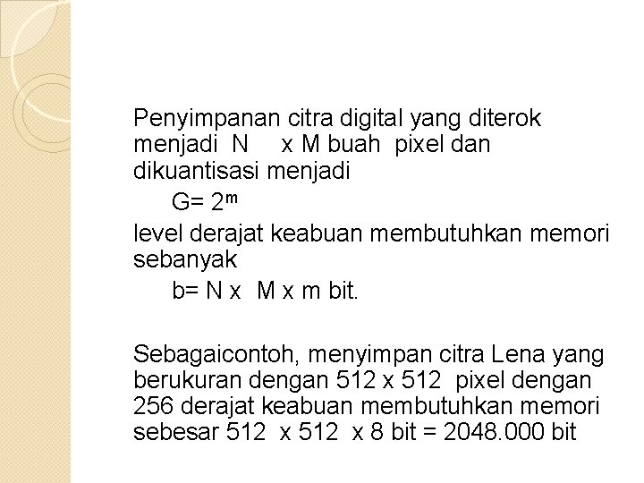 Penyimpanan citra digital yang diterok menjadi N x M buah pixel dan dikuantisasi menjadi