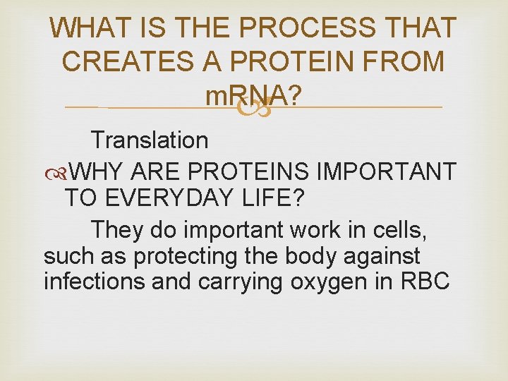 WHAT IS THE PROCESS THAT CREATES A PROTEIN FROM m. RNA? Translation WHY ARE
