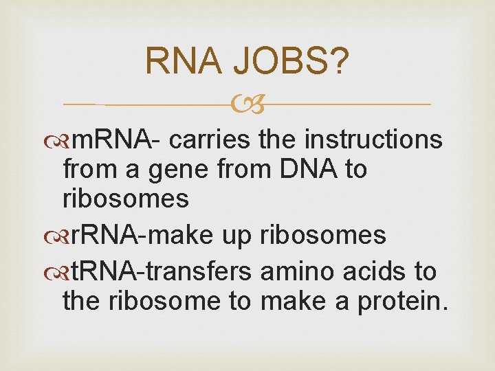 RNA JOBS? m. RNA- carries the instructions from a gene from DNA to ribosomes