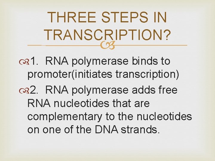 THREE STEPS IN TRANSCRIPTION? 1. RNA polymerase binds to promoter(initiates transcription) 2. RNA polymerase