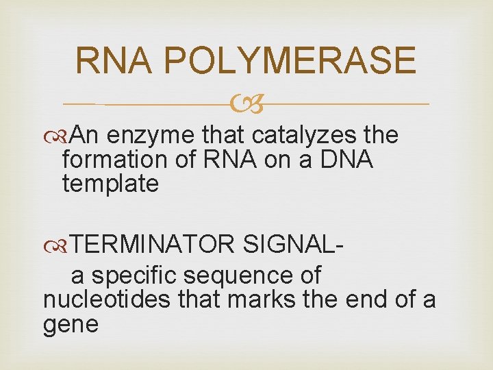 RNA POLYMERASE An enzyme that catalyzes the formation of RNA on a DNA template