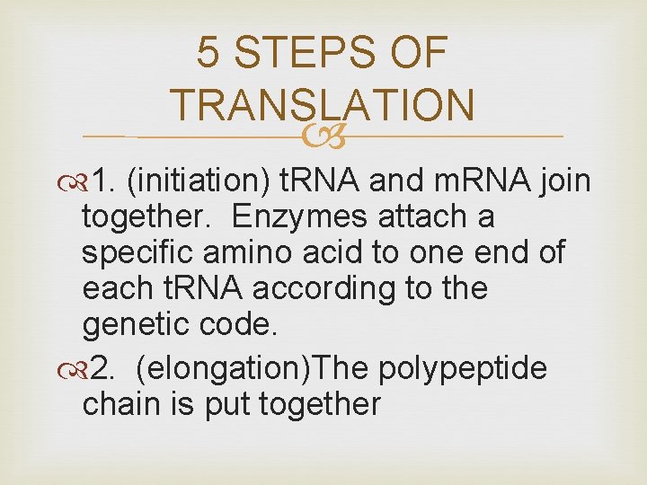 5 STEPS OF TRANSLATION 1. (initiation) t. RNA and m. RNA join together. Enzymes