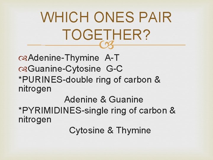 WHICH ONES PAIR TOGETHER? Adenine-Thymine A-T Guanine-Cytosine G-C *PURINES-double ring of carbon & nitrogen