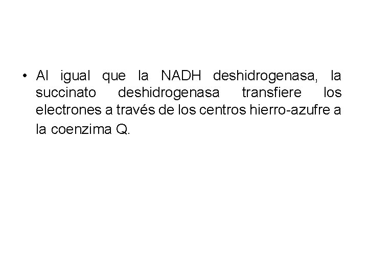  • Al igual que la NADH deshidrogenasa, la succinato deshidrogenasa transfiere los electrones