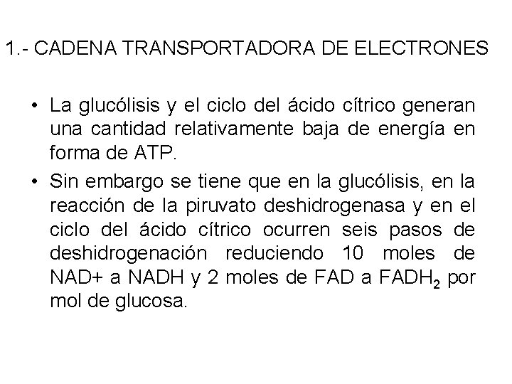 1. - CADENA TRANSPORTADORA DE ELECTRONES • La glucólisis y el ciclo del ácido