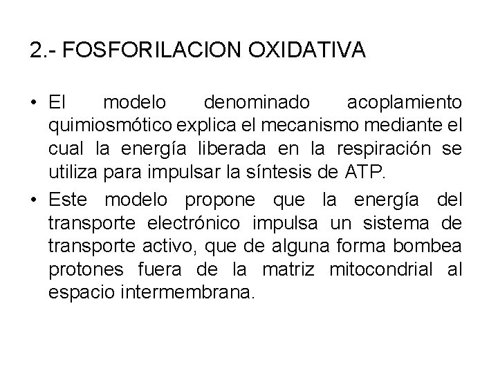 2. - FOSFORILACION OXIDATIVA • El modelo denominado acoplamiento quimiosmótico explica el mecanismo mediante