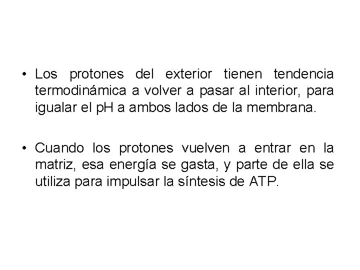  • Los protones del exterior tienen tendencia termodinámica a volver a pasar al