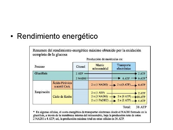  • Rendimiento energético 