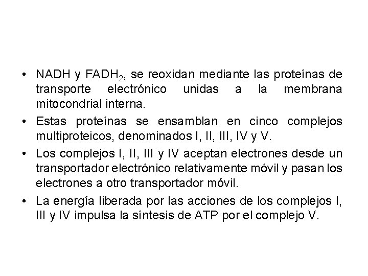  • NADH y FADH 2, se reoxidan mediante las proteínas de transporte electrónico