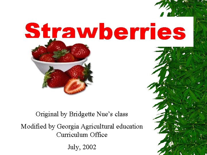 Strawberries Original by Bridgette Nue’s class Modified by Georgia Agricultural education Curriculum Office July,