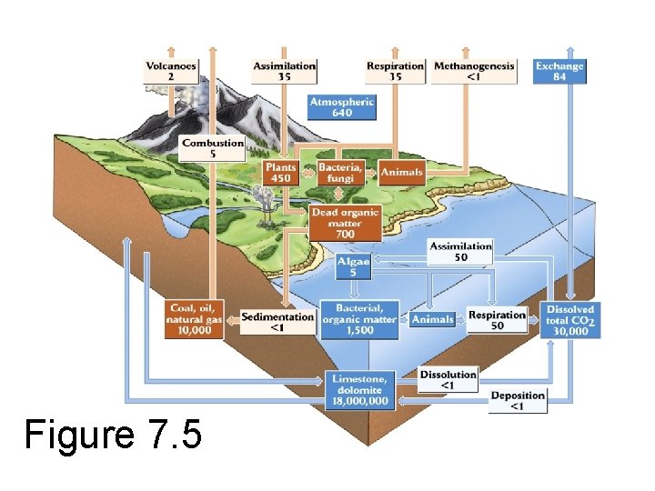 Figure 7. 5 