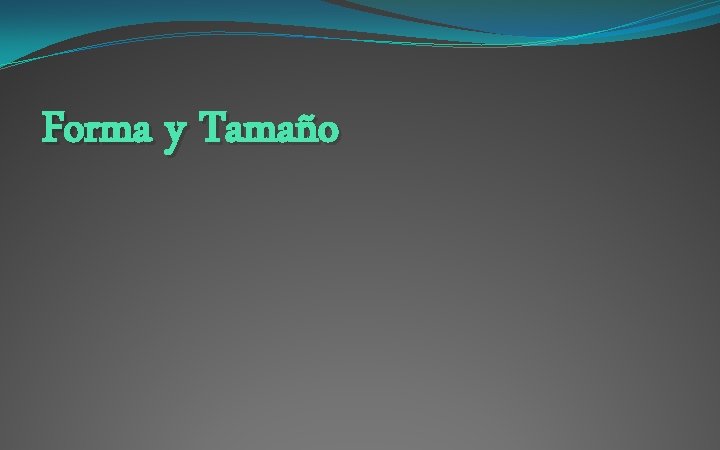 Forma y Tamaño 