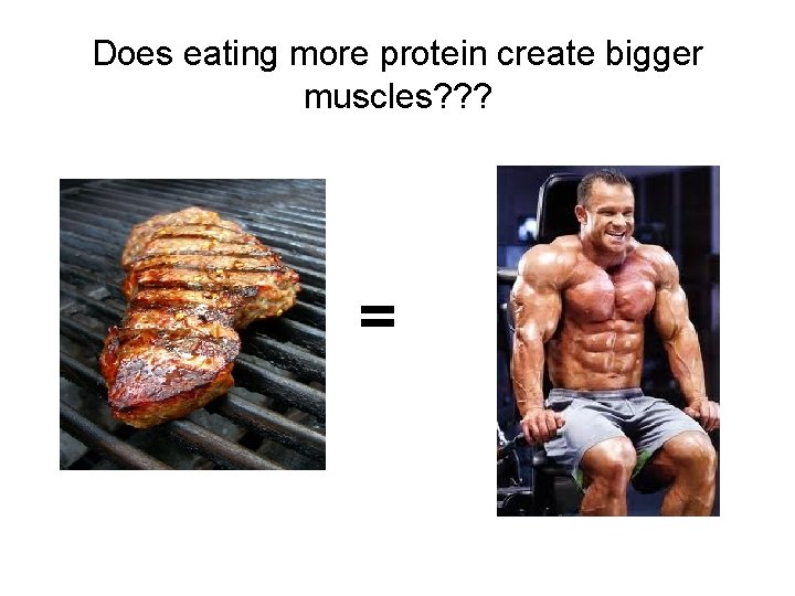 Does eating more protein create bigger muscles? ? ? = 