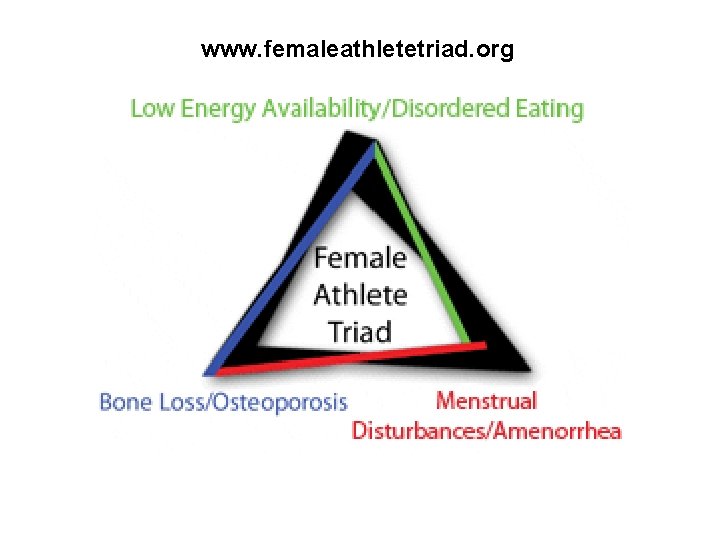 www. femaleathletetriad. org 