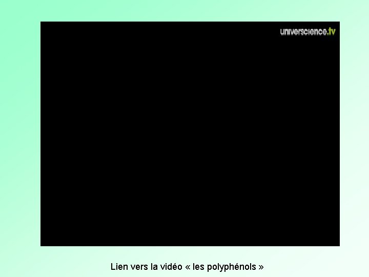 Lien vers la vidéo « les polyphénols » Lien vers la vidéo « les polyphénols »