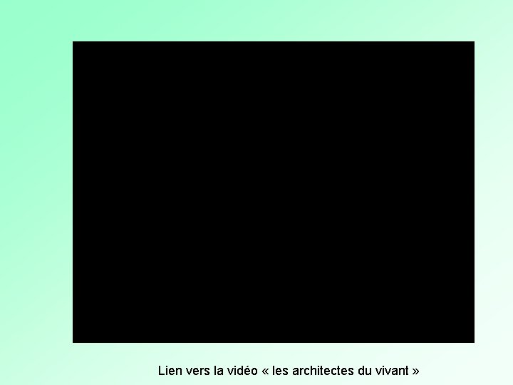 Lien vers la vidéo « les architectes du vivant » Lien vers la vidéo « les architectes du vivant »