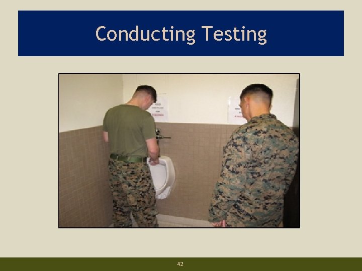 Conducting Testing. 42 