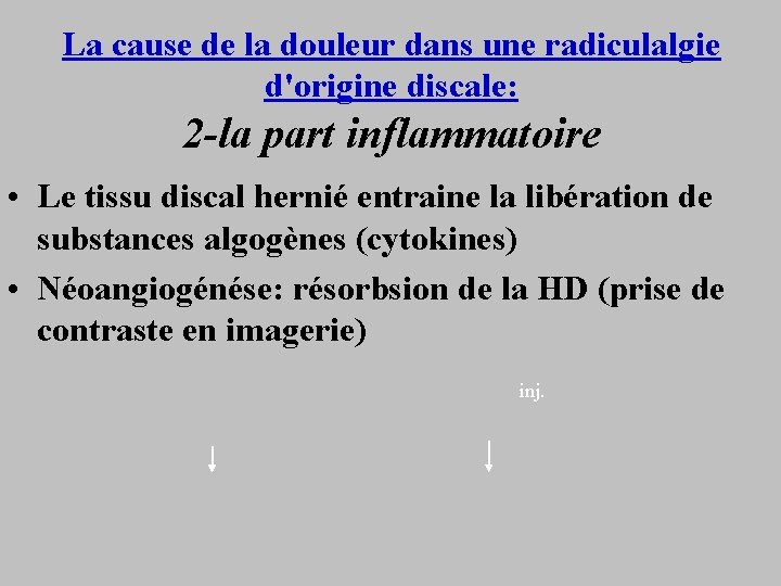 La cause de la douleur dans une radiculalgie d'origine discale: 2 -la part inflammatoire