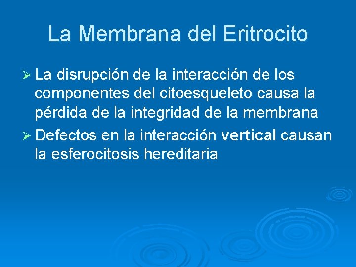 La Membrana del Eritrocito Ø La disrupción de la interacción de los componentes del La Membrana del Eritrocito Ø La disrupción de la interacción de los componentes del