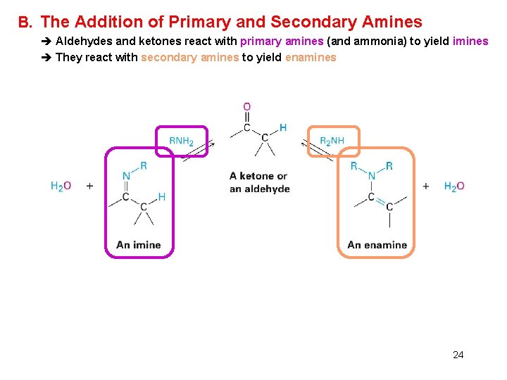 B. The Addition of Primary and Secondary Amines è Aldehydes and ketones react with