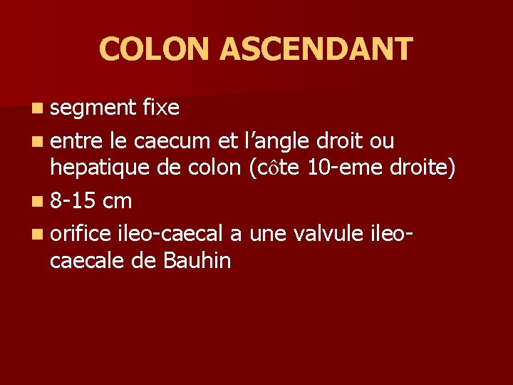 COLON ASCENDANT n segment fixe n entre le caecum et l’angle droit ou hepatique