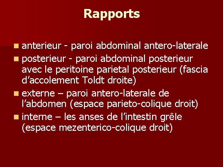 Rapports n anterieur - paroi abdominal antero-laterale n posterieur - paroi abdominal posterieur avec