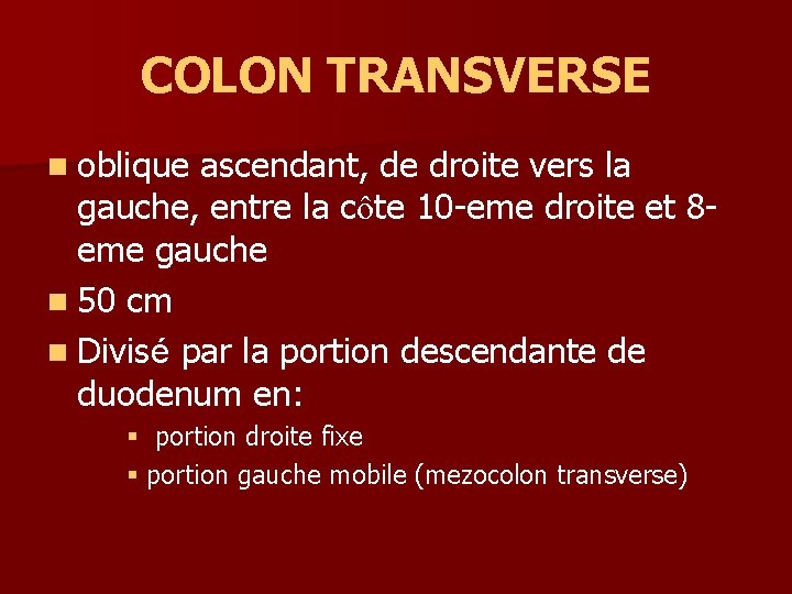 COLON TRANSVERSE n oblique ascendant, de droite vers la gauche, entre la côte 10