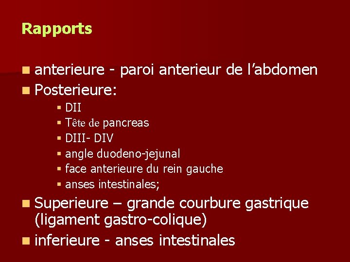 Rapports n anterieure - paroi anterieur de l’abdomen n Posterieure: § DII § Tête