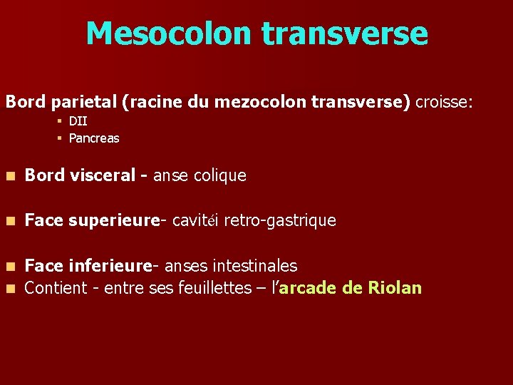 Mesocolon transverse Bord parietal (racine du mezocolon transverse) croisse: § § DII Pancreas n