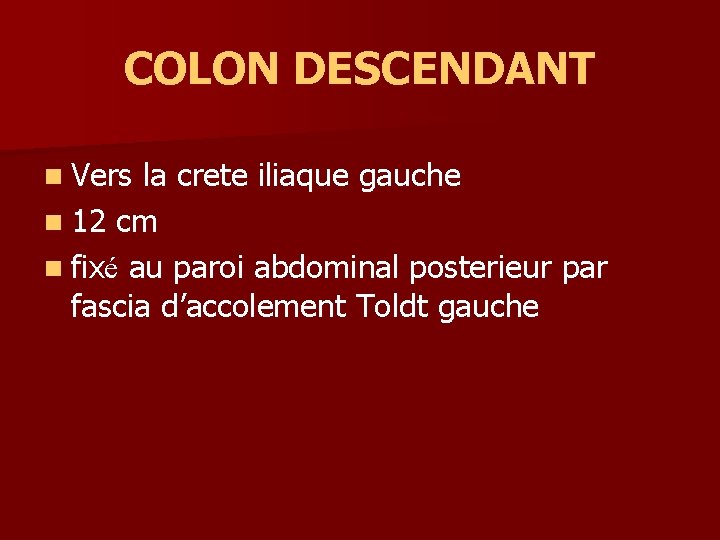 COLON DESCENDANT n Vers la crete iliaque gauche n 12 cm n fixé au